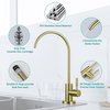 American Imaginations 2.2-in. W Kitchen Sink Faucet_ AI-36509